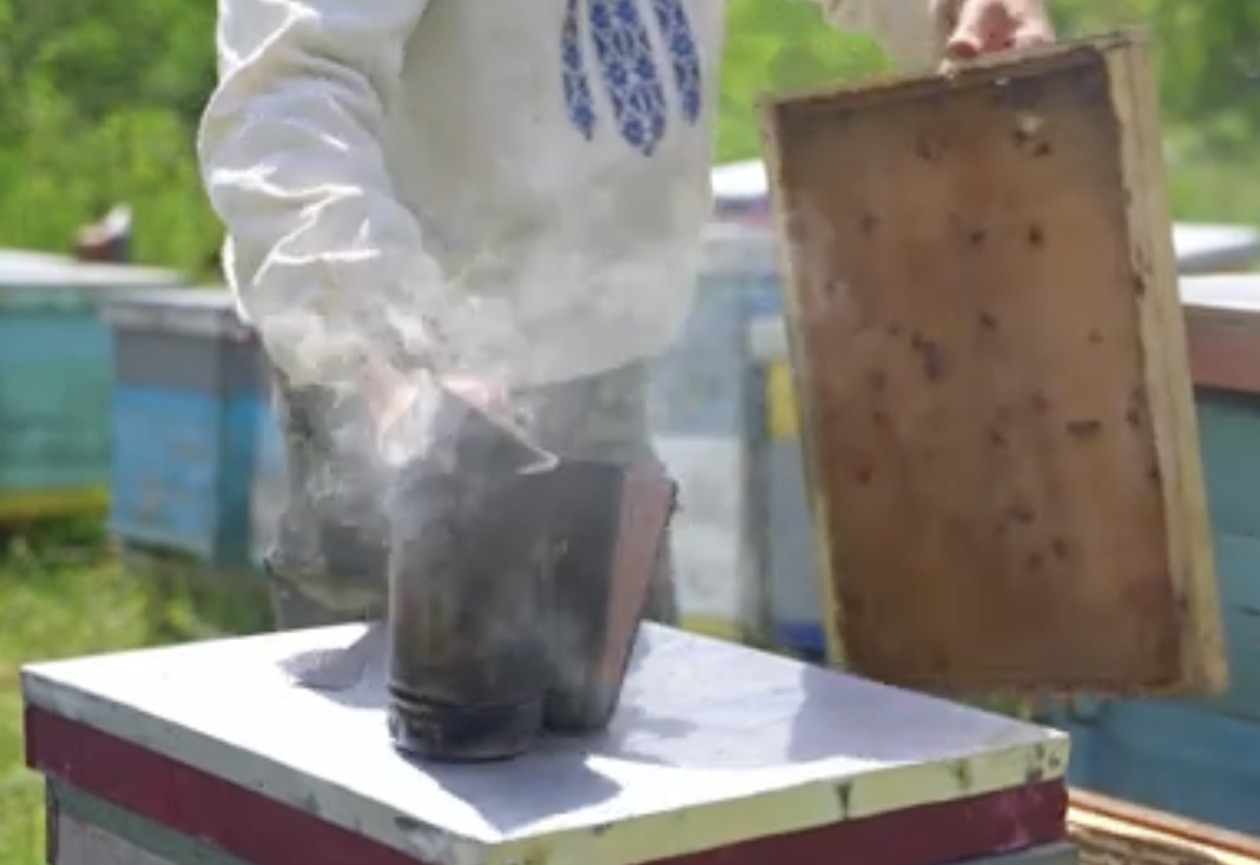 Produkcja video